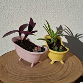 collection-img