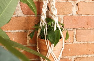 Vaso com planta pendurado com um suporte em macramé, numa parede de tijolos pequenos