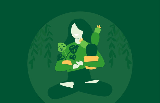 8 benefícios de ter plantas