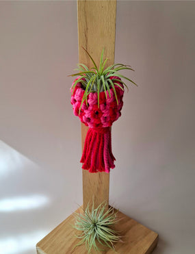 Cestinho com íman rosa e vermelho
