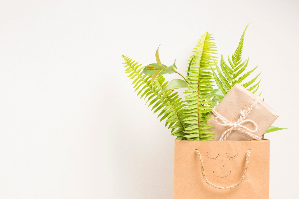Saco de papel, com carinha feliz desenhada, com folhagens verdes e embrulho dentro, num fundo branco.