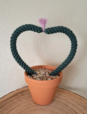 Cato coração flor lilás