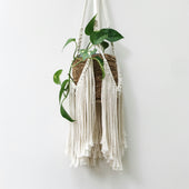 collection-img