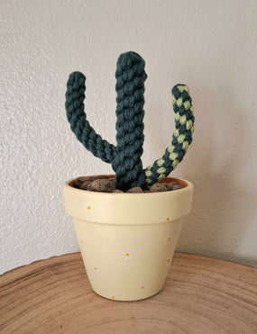 Cato com vaso pintado